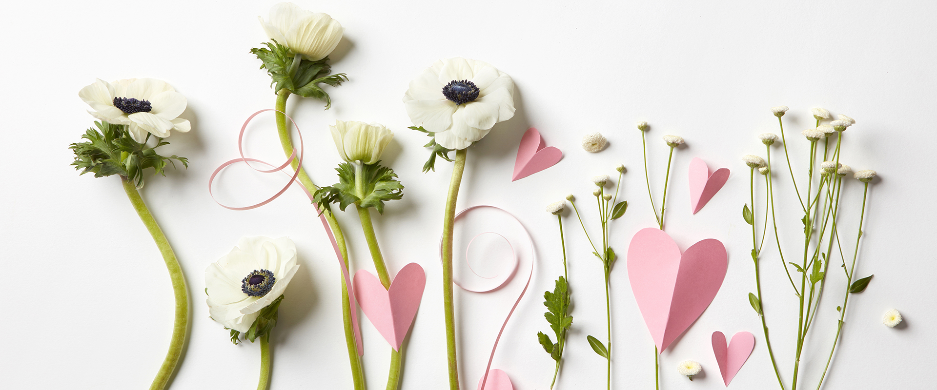 はじめましての人へ