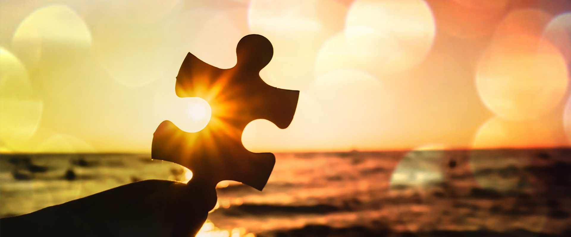 夢叶プロジェクト－見つける